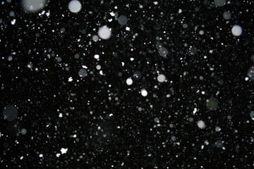 Fototapeta na wymiar Photo of a snow falling at night, beautiful background