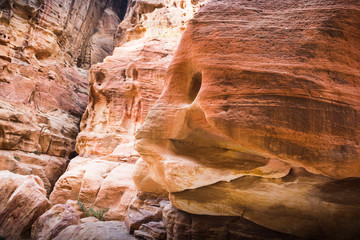 Siq canyon, which goes to the ancient city Petra and rocks in it