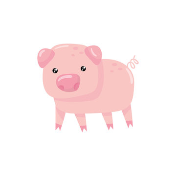 Pink little pig with swirling tail. Farm livestock. Cartoon character of domestic animal. Design for children book or sticker. Colorful flat vector icon