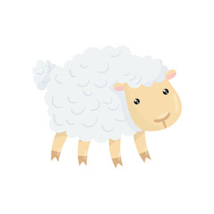 Cartoon character of cute domestic sheep with shiny eyes, little ears and fluffy wool. Concept of animal husbandry. Livestock farming. Colorful flat vector design