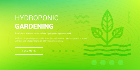 Hi-tech Hydroponic Gardening
