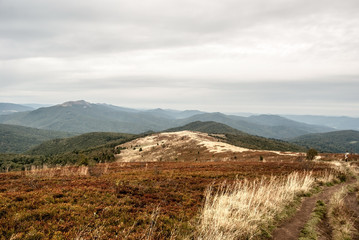 Fototapeta na wymiar view from Bukove Berdo hill in Biesczady mountains in Poland