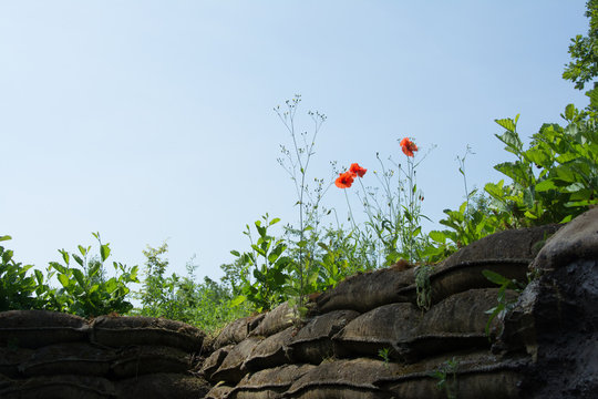 World War 1 Trenches