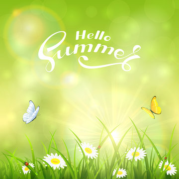 Green nature sunny background and text Hello Summer