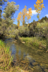 Fall colors in Serrania de Cuenca mountain in Spain