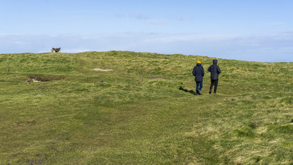 Fototapeta premium Two man walking on classic irish green fields