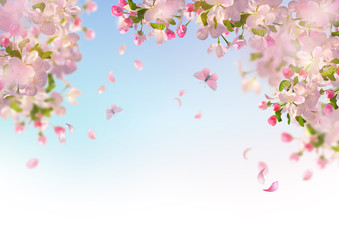 Naklejka premium Spring Cherry Blossom