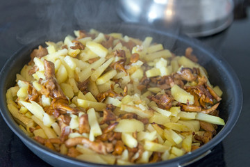 potatoes with chanterelle mushrooms fried in a pan, cooking