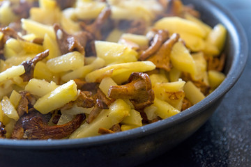 potatoes with chanterelle mushrooms fried in a pan
