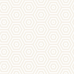 Vector seamless subtle stripes pattern. Modern stylish texture with monochrome trellis. Repeating geometric hexagonal grid. Simple lattice design.