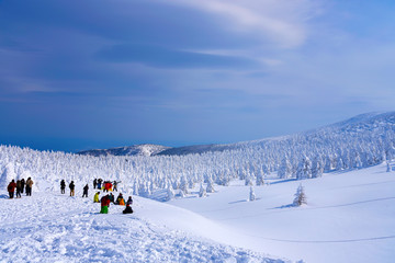 Snow Monsters of Mt.Zao in Yamagata, Japan