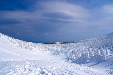 Fototapeta na wymiar Snow Monsters of Mt.Zao in Yamagata, Japan