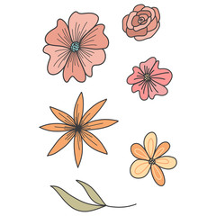 Set Flowers Isolated on a White Background Hand Drawn Illustration