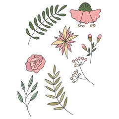 Set Leaves Isolated on a White Background Hand Drawn Illustration