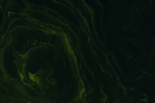 Suminagashi marble texture hand painted with black ink. Digital paper 1743 performed in traditional japanese suminagashi floating ink technique. Unique liquid abstract background.