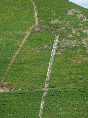 Ribeira Sacra, zona que comprende las riberas de los ríos Cabe, Sil y Miño, en la zona sur de la...