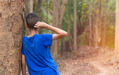 Boy standing against the big tree. He was thinking of a way out of the woods. He wandering forest with his family and lost. Travel and problem concept. Soft focus.