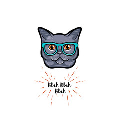 Grey Cat in smart glasses. .