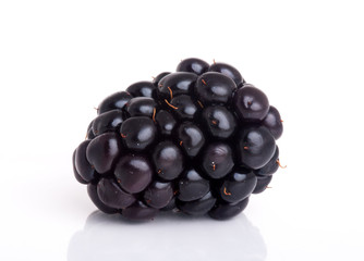 blackberry isolated on a white background