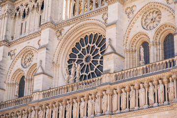 Cathedral "Notre Dame de Paris" on Cite island in Paris