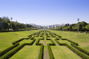 Hedge in the park of Lisbon, Portugal