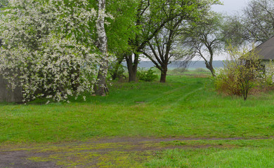 Obraz premium Landscape with an earth roads in rural Ukrainian area at spring season.