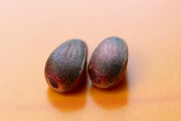 cedar nuts2