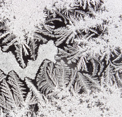 Detail of frost on a needle-shaped window (2)..