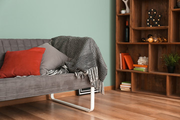 Living room interior with comfortable sofa
