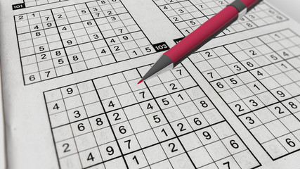 Sudoku Game with Perplexing Grids of Digits