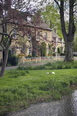 England, Gloucestershire, Cotswolds, Lower Slaughter, River Eye, Cotswold Cottages