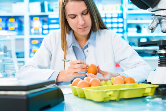 Eggs product research. Quality control processing foods.