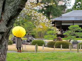 Japanese scene