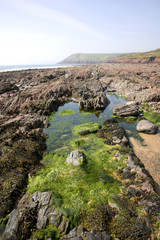 UK, Wales, Pembrokeshire, Manorbier, rockpools on the beach