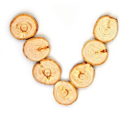 Alphabet letters made from Wood slice on white Background.v