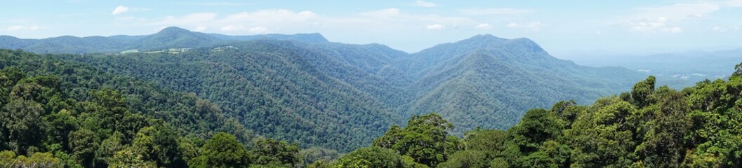 Nationalpark Dorrigo in New South Wales, Australien