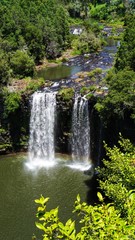 Fototapeta na wymiar Dangar Falls, Wasserfall in Dorrigo, New South Wales in Australien