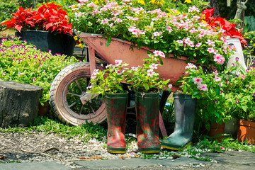 Flower arrangement in spring garden with wheelbarrow and boot shaped flower pots