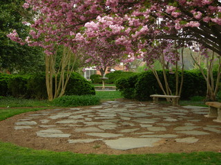 Sunset in Garden of Remembrance, St Mary's College of Maryland, cherry blossoms