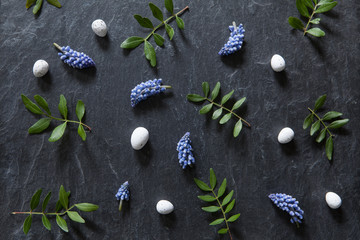 Easter flowers composition made of grape hyacinths, eggs and green leaves on stone, dark background.