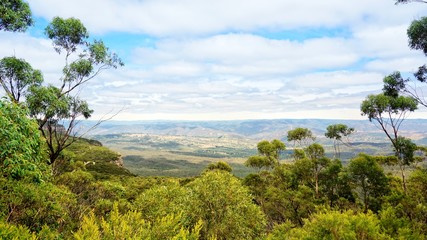 Obraz na płótnie Canvas Gebirge Blue Mountains in New South Wales, Australien