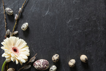 Simple easter decoration with eggs, yellow gerbera flower and fluffy willow on dark stone