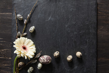 Easter background with dark stone, gerbera flower, fluffy willow and natural eggs