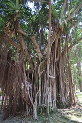 Kuala Lumpur Malaysia