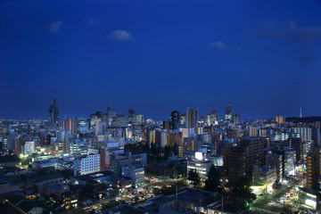 Fototapeta na wymiar Sendai City Night View