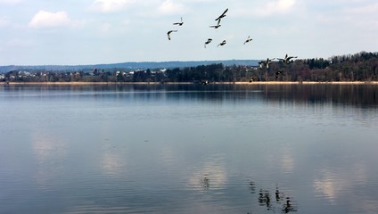 greifensee