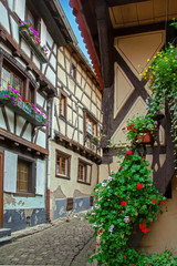 Eguisheim. Maisons à colombages, Alsace, Haut Rhin. Grand Est