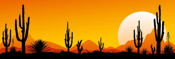 Foto op Canvas De woestijnzonsondergang van Mexico. De steenwoestijn © Oleg Lytvynenko