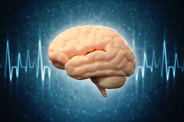 Human brain 3d illustration