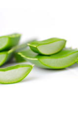 Aloe vera leaves